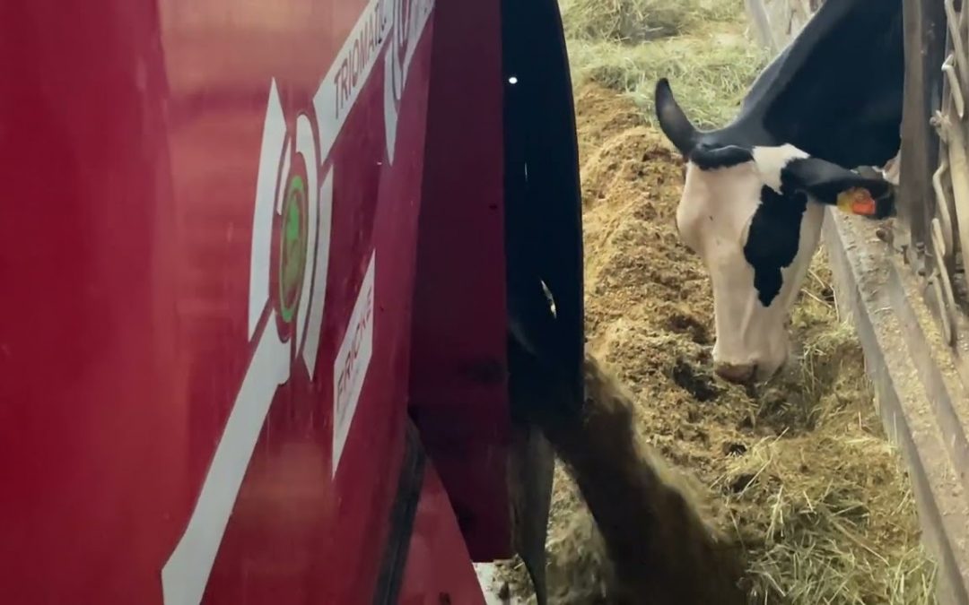 #Zukunftsbauer Henning Brümmer Affinghausen