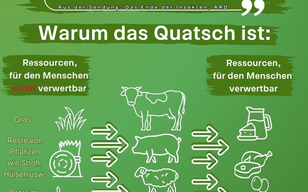 Zurzeit macht eine Sendung der ARD Mediathek & Das Erste unter Landwirten Furore. Die Doku "Das Ende der Insekten" beric…