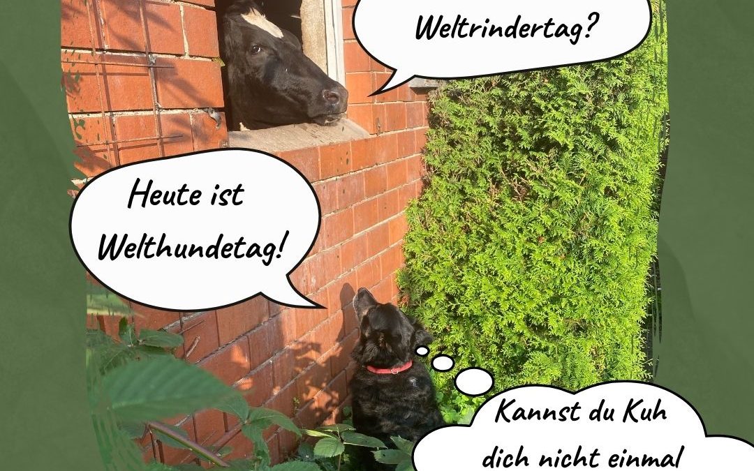 Habt ihr einen Hofhund? 🐶&hellip;