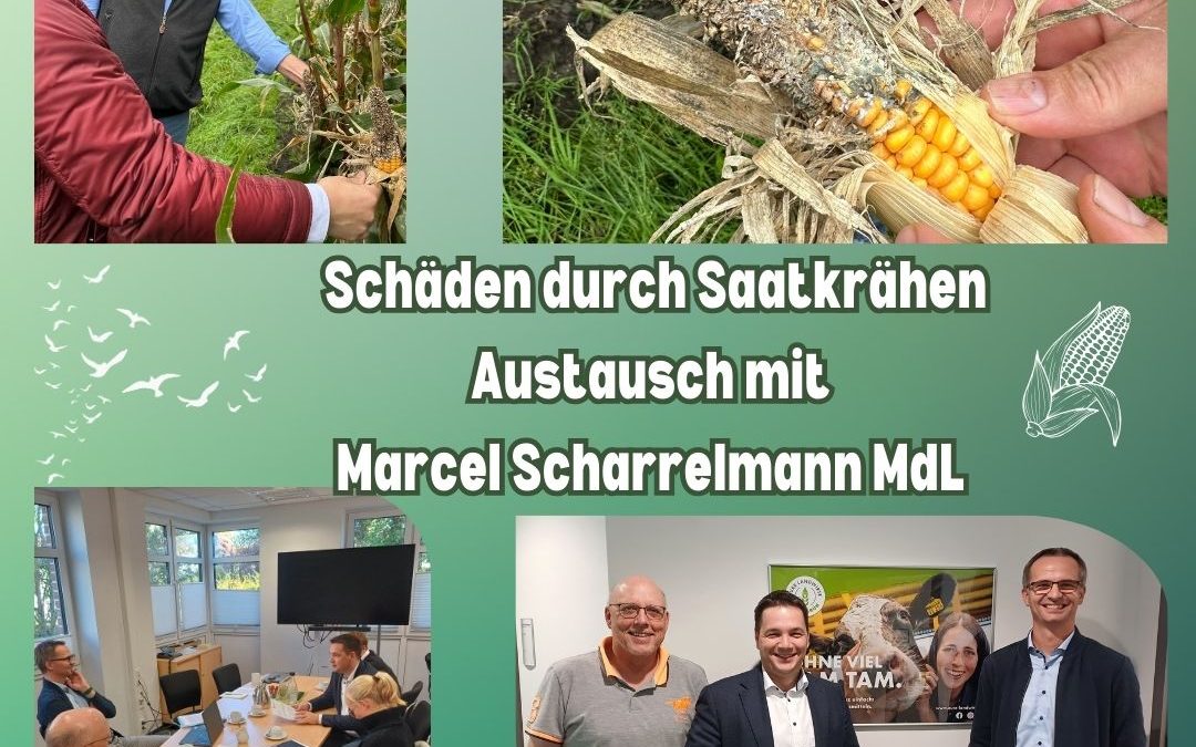 Eine geschützte Tierart wird regional&hellip;