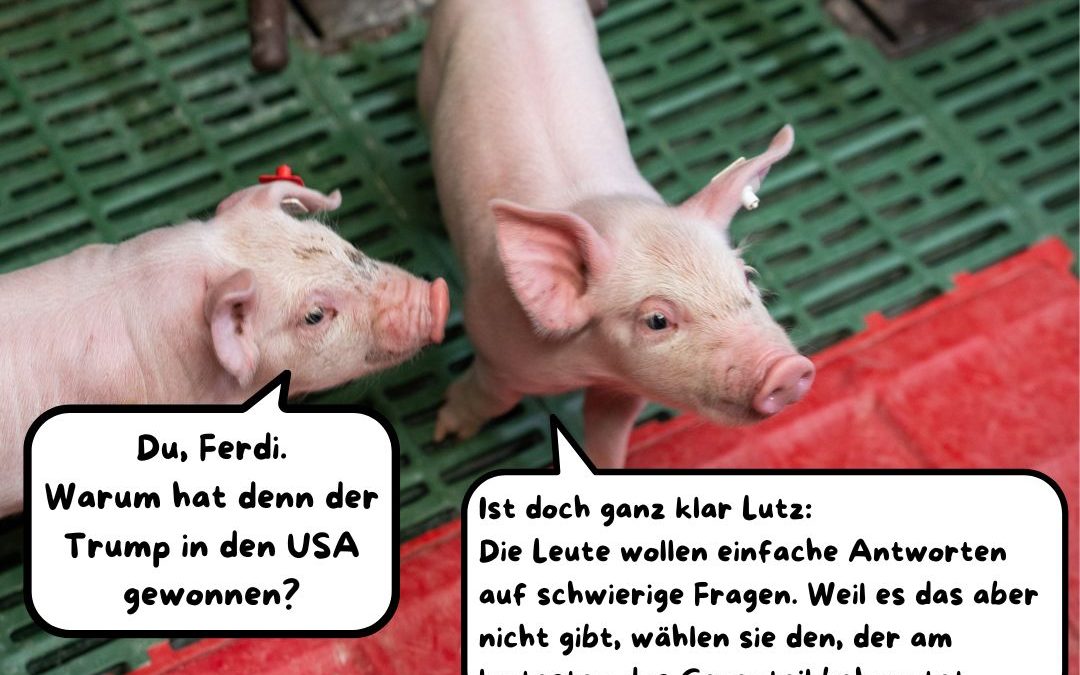 Alles schaut nach Amerika 🇺🇸&hellip;