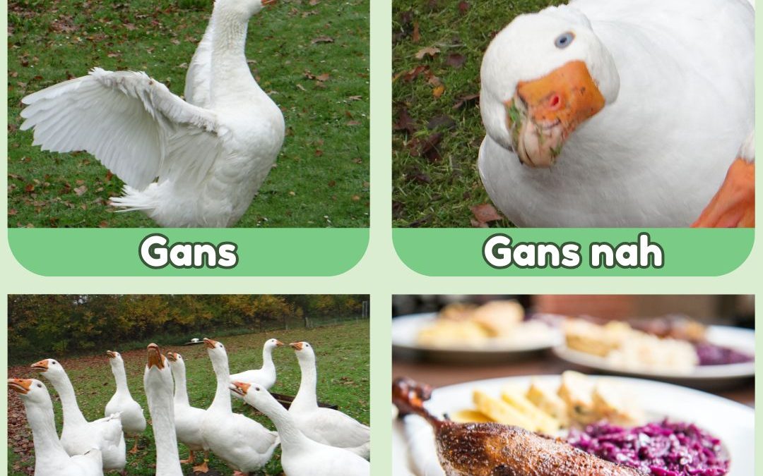 Wir wünschen einen schönen St.&hellip;