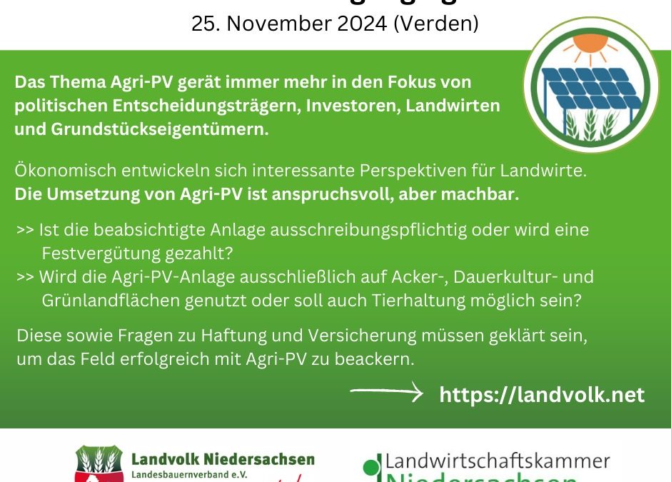 Was ist dran am Hype&hellip;