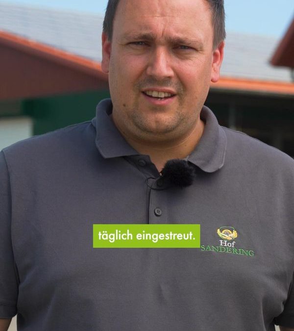 Die KI weiß warum hier&hellip;