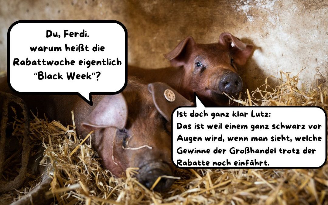 #Blackweek – unsere Ferkelperten 🐷&hellip;