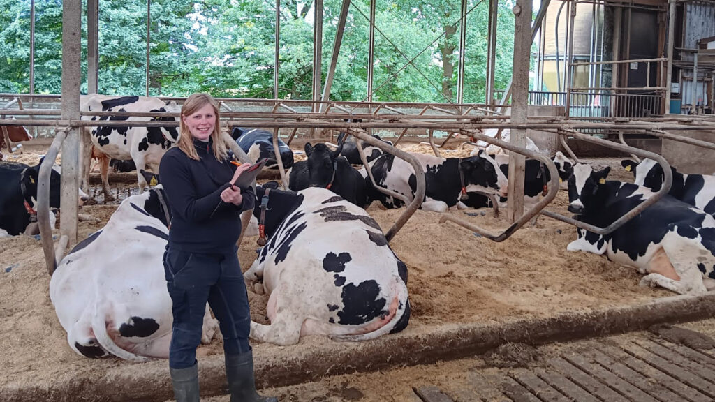 Frauen spielen eine tragende Rolle in der Gesellschaft