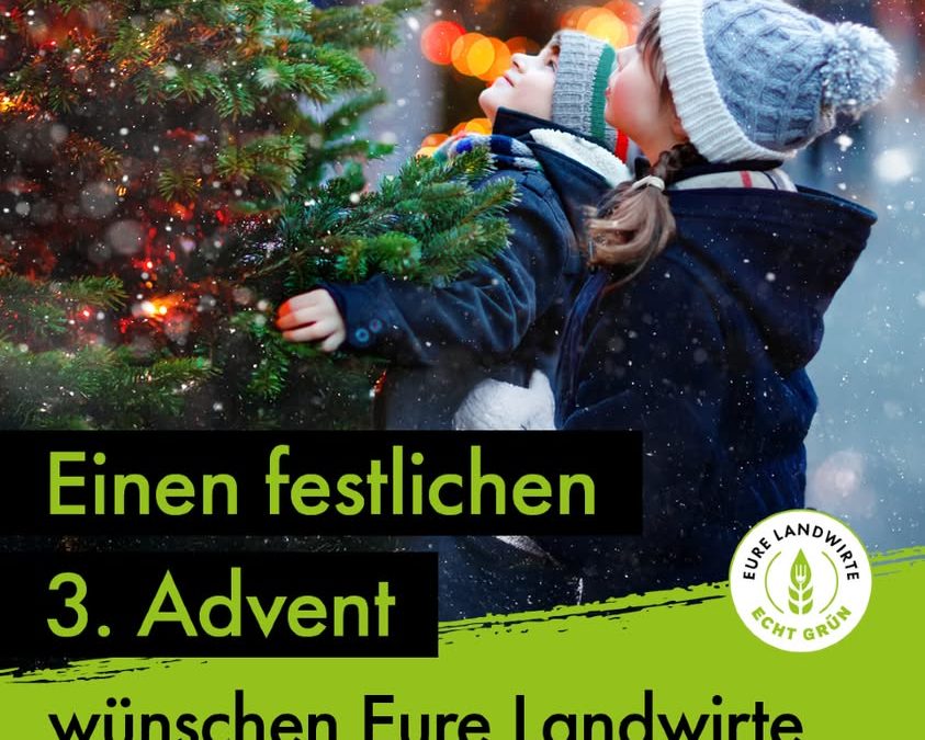 🎄🕯🕯🕯🎄 Der Weihnachtsbaum ist das&hellip;
