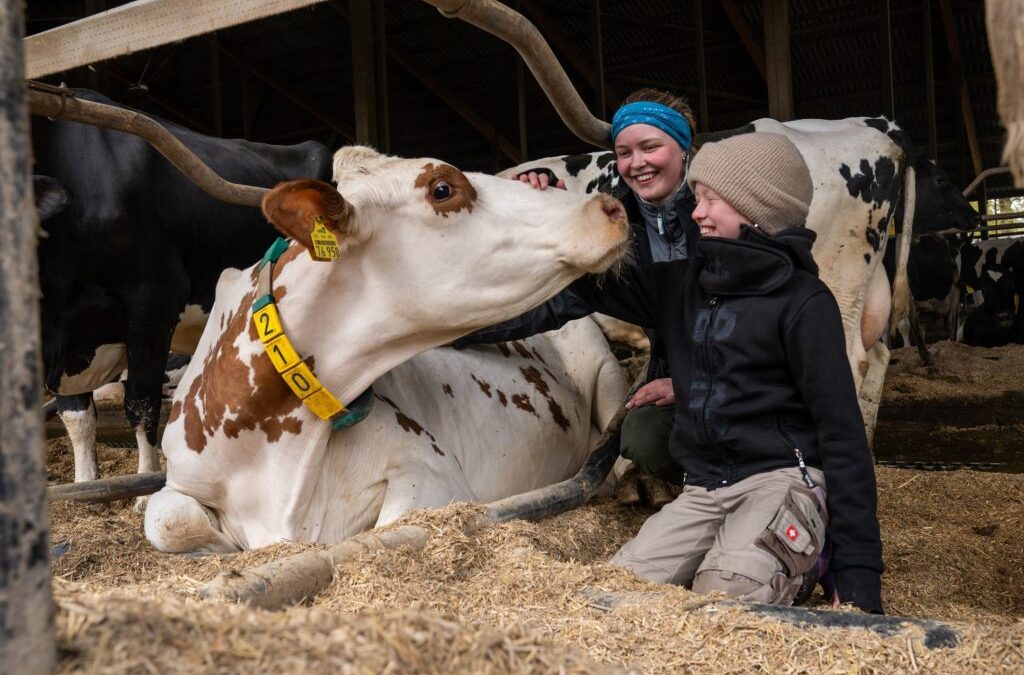 „Mitmachen“ ist angesagt beim Zukunftstag auf Höfen