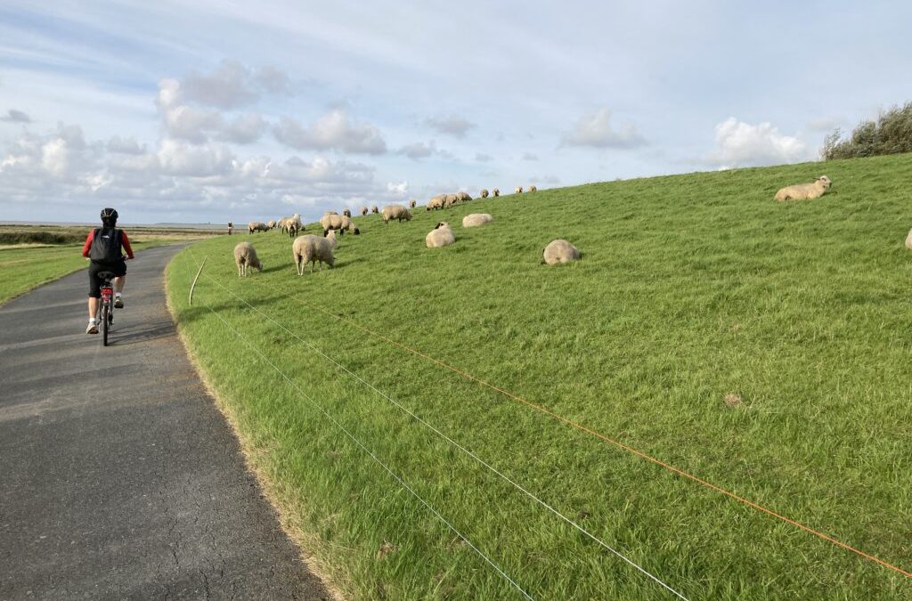 Landvolk: Härten bei Deichgesetz-Reform abwenden