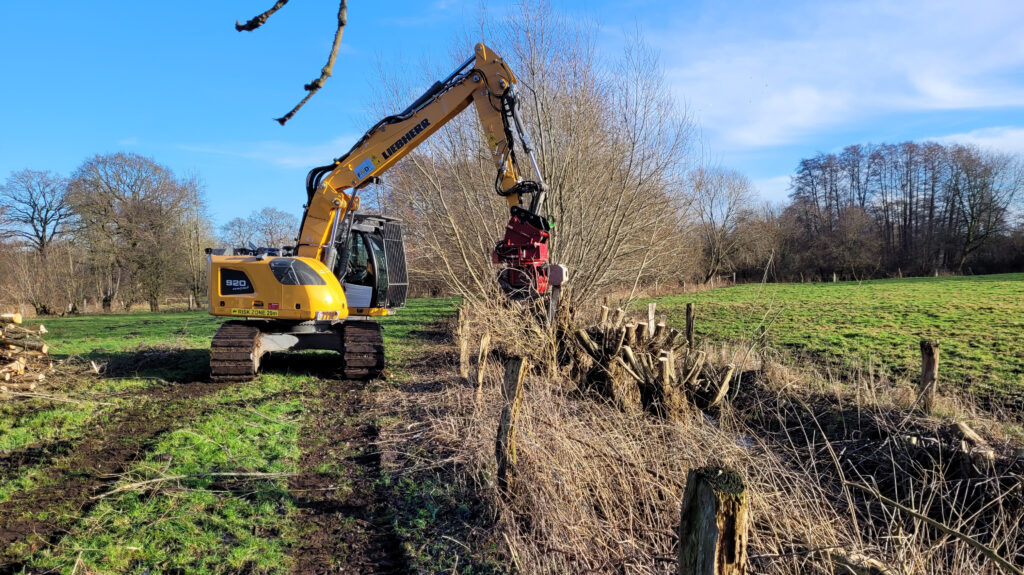 Regelmäßige Heckenpflege ist gelebter Artenschutz