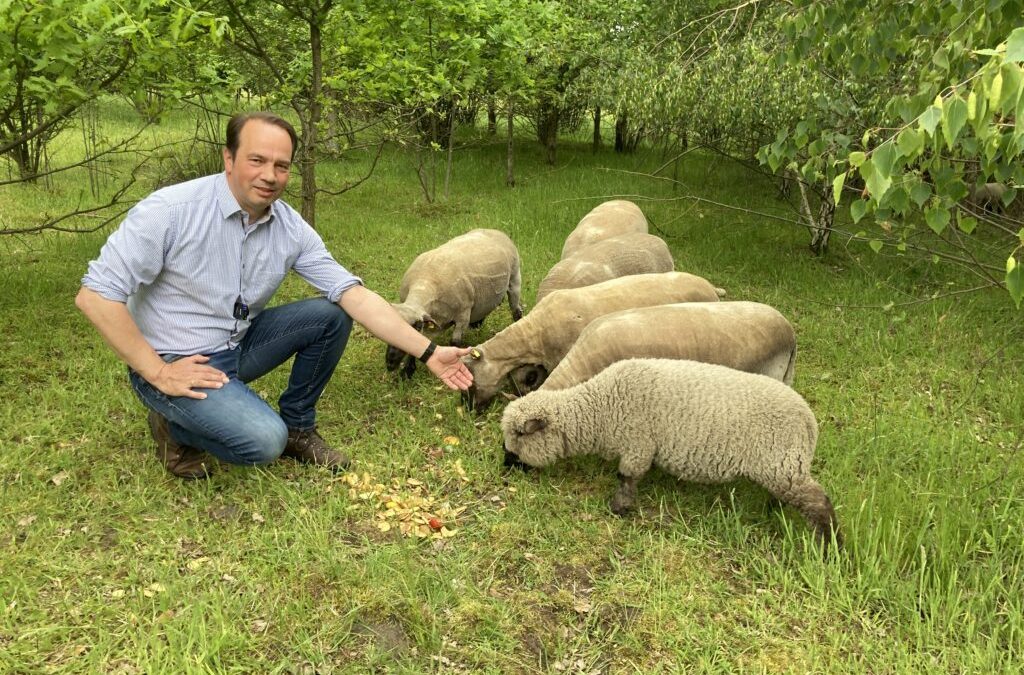 Ehlers: „Lobenswerter Zwischenschritt“ beim Wolf