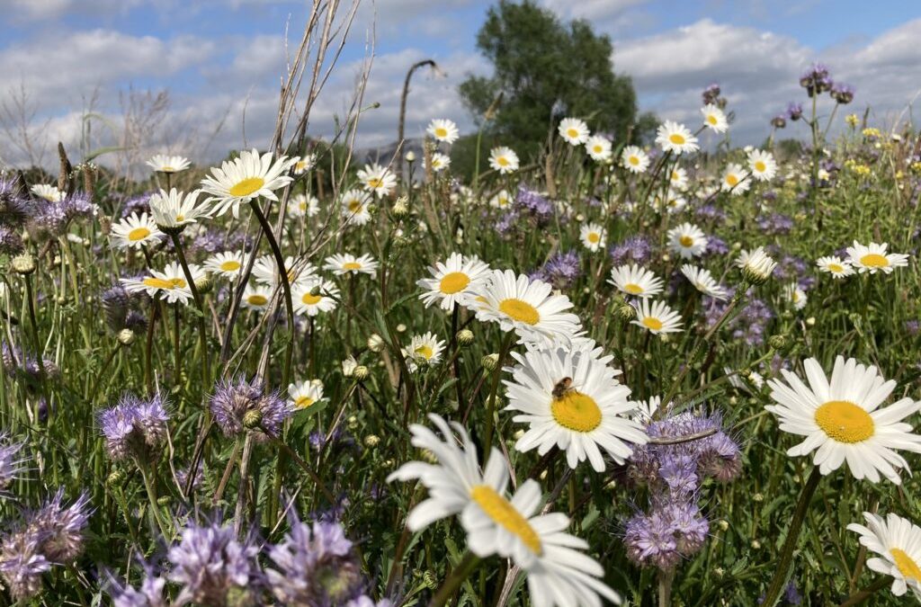 Tagung zur Transformation in der Landwirtschaft
