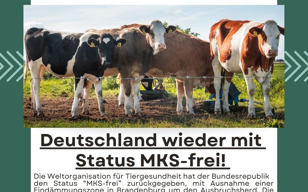 Es gibt sie noch: Die&hellip;