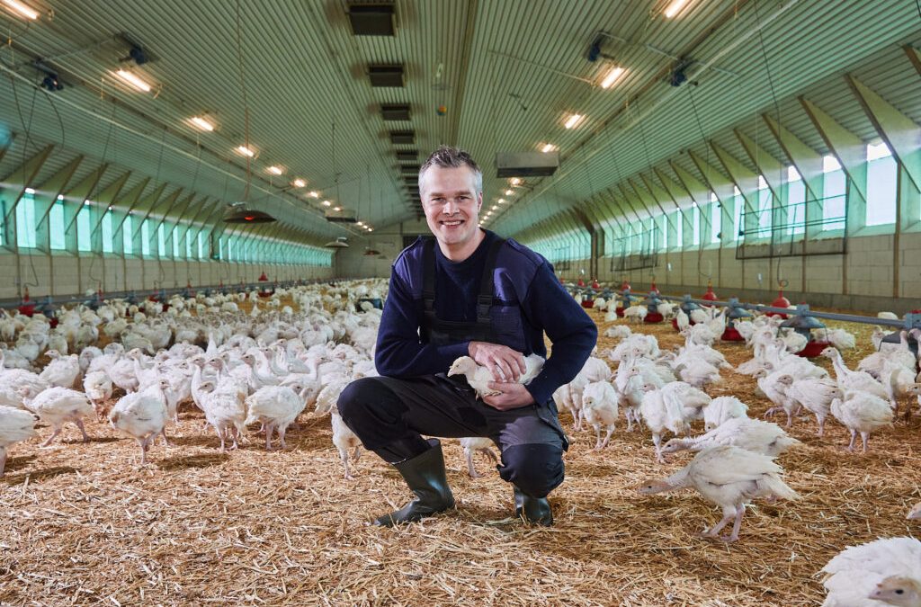 Geflügelhaltung vereint Tierwohl und Klimaschutz
