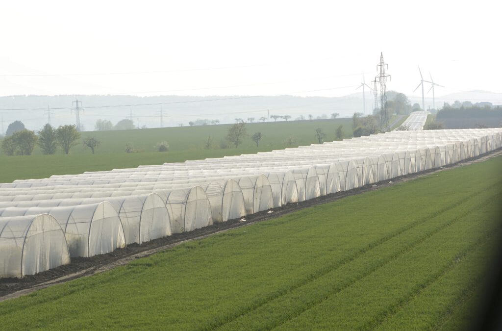Gemüsebauern legen die Saat für die kommende Saison
