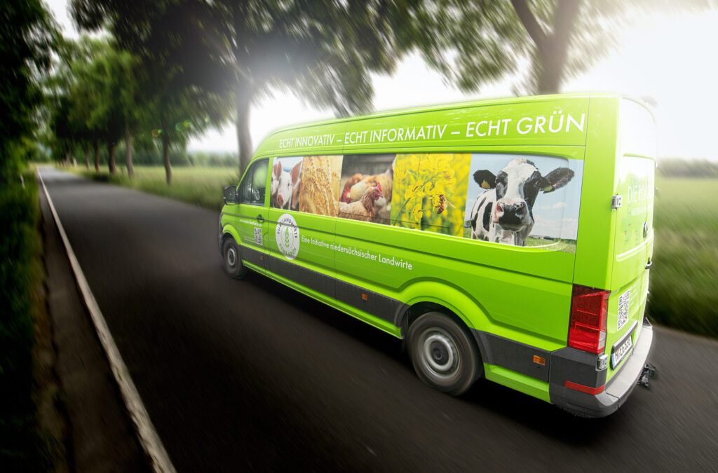 Wie viel Platz braucht ein Schwein?