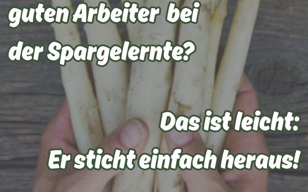 Was für ein Stecher… 🫣&hellip;