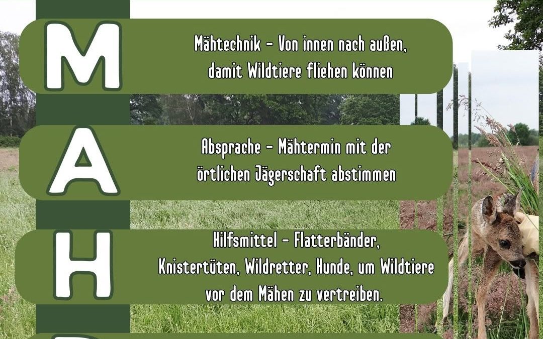 Die Frühjahrsmahd beginnt und wieder arbeiten Jäger und Landwirte eng zusammen 🤝, um Wildtiere zu schützen. @jaegerscha…