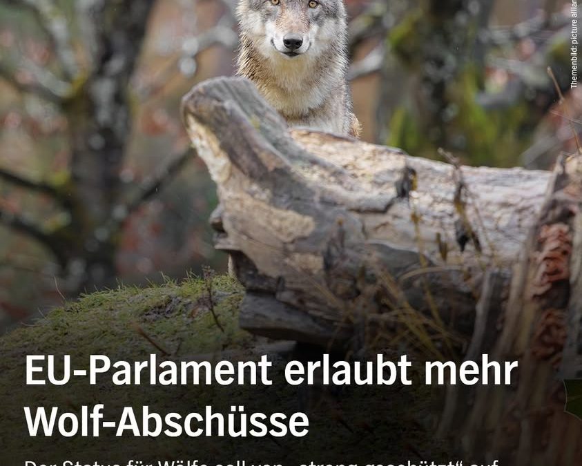 Es bewegt sich einiges in&hellip;