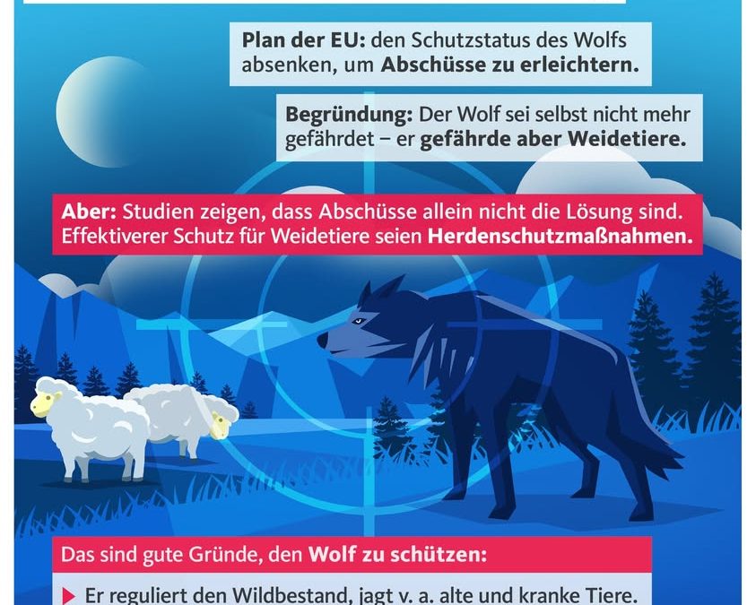 Tja Quarks, das ist inhaltlich&hellip;