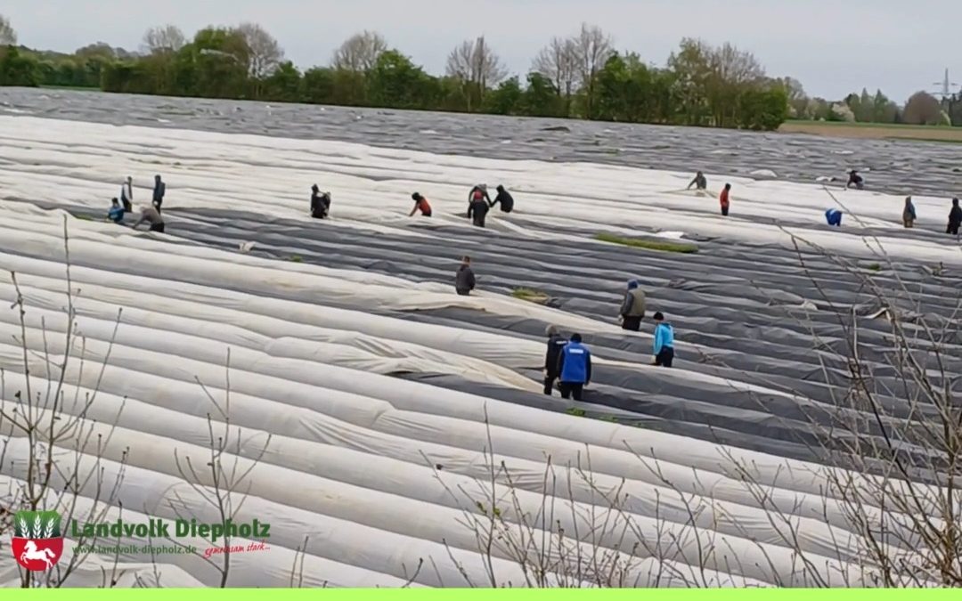 Wer hätte das gedacht? 😉&hellip;