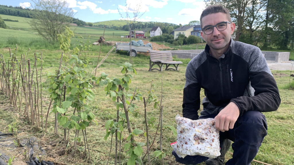 Wenn aus Nüssen Pilze werden