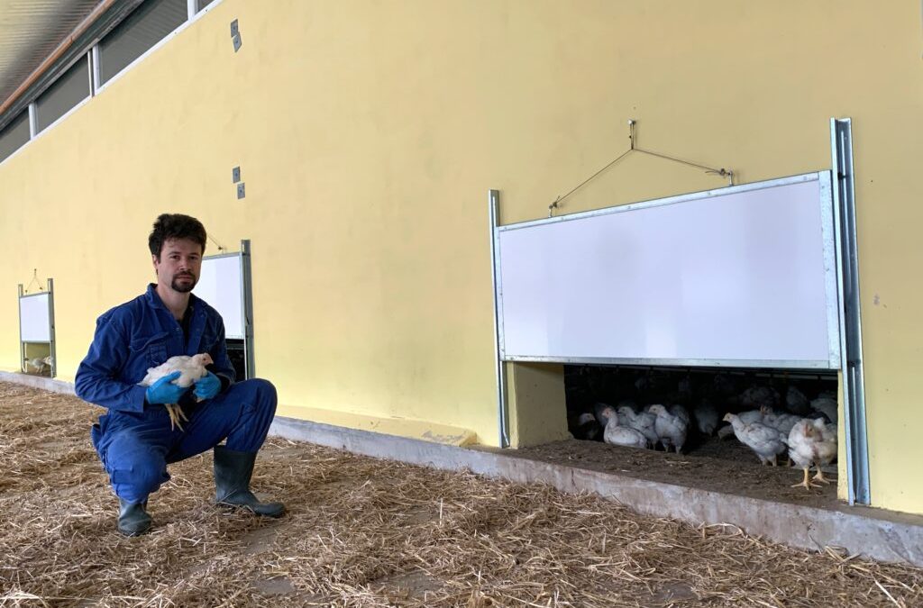 Gut gedacht, schlecht gemacht – drohender Strukturbruch statt Tierwohl für&hellip;