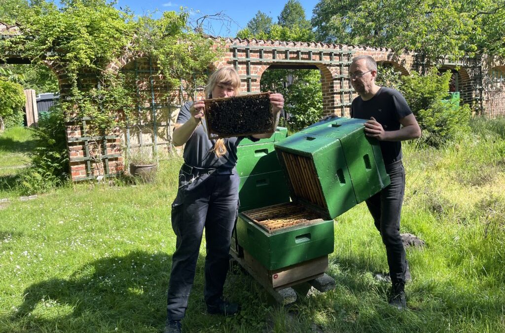 Imkerausbildung: Mit Schutzanzug und Leidenschaft