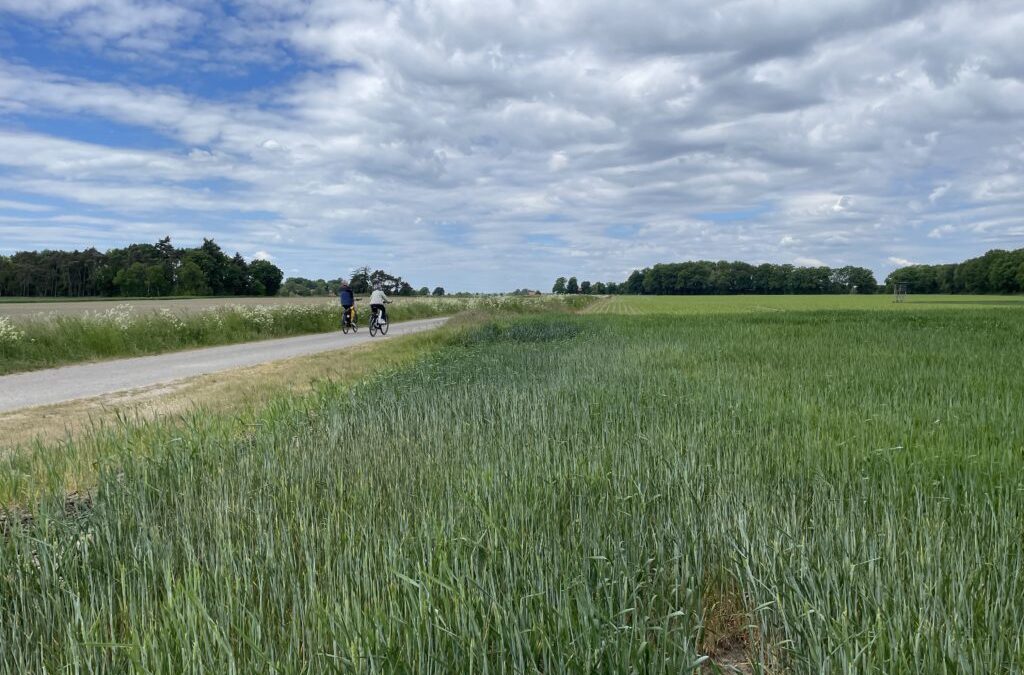 Tagesausflugstipp: Radtouren mit Landluft verbinden