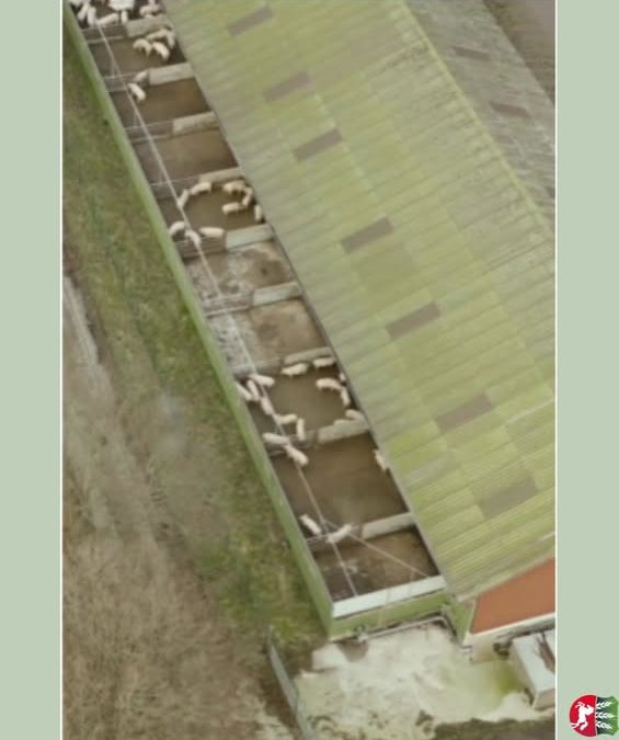 Zeit für einen Repost. Die&hellip;