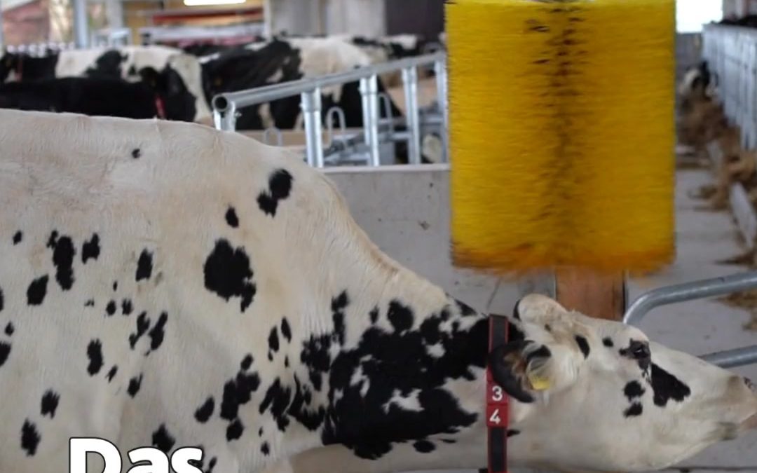 Da in letzter Zeit wieder&hellip;