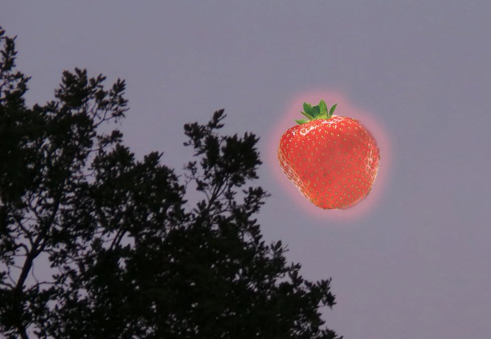 Habt ihr ihn auch gesehen?&hellip;