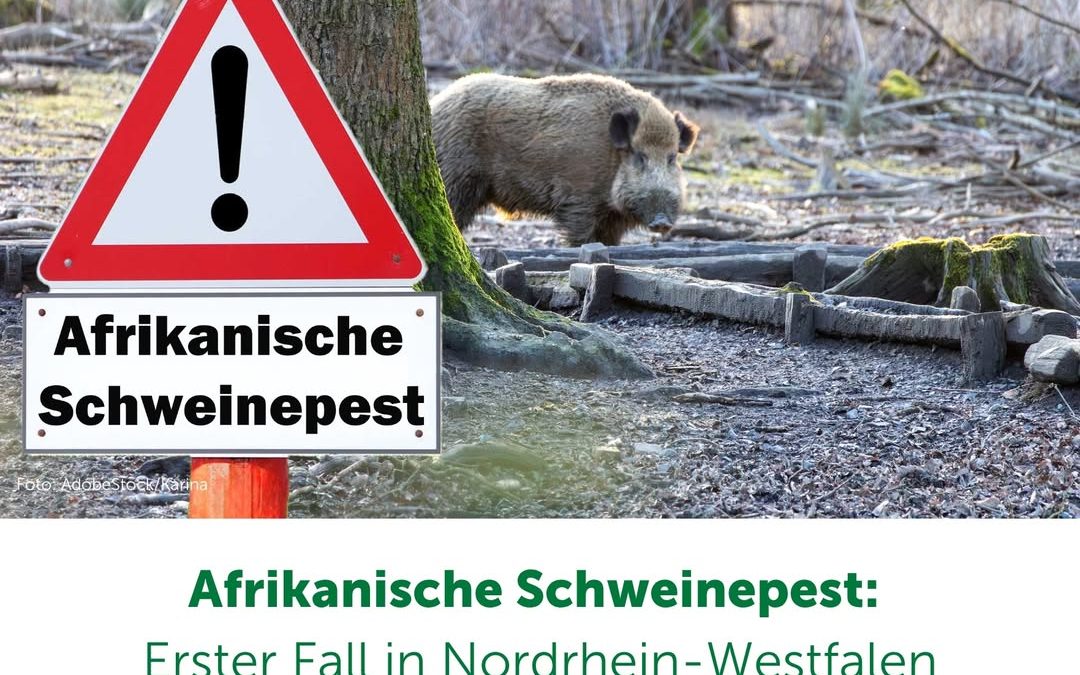 Das sind keine guten Nachrichten…&hellip;