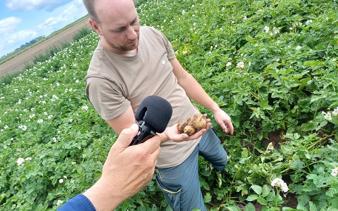 Sommer ⛱ – Sonne 🌞- Schädlinge 🐛… Der Podcast der @mediengruppekreiszeitung war zu Gast auf dem Betrieb Hoge in Aldo…