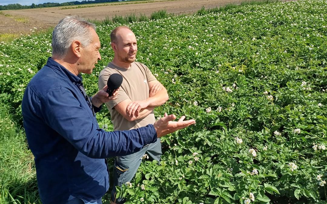 Ohne Pflanzenschutz keine Ernte – darum und um neue Gefahren für den Anbau insbesondere aber nicht nur für Kartoffeln 🥔…