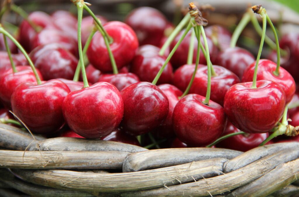 Kirschen: Hohe Standards geben ein gutes Gefühl