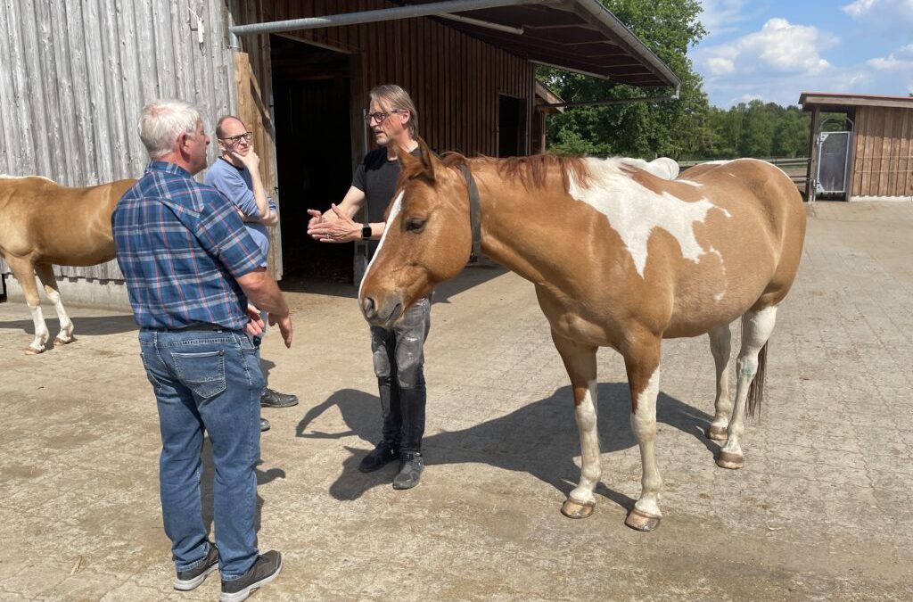Fokus Pferd: Tierwohl wird auf vielen Wegen erreicht