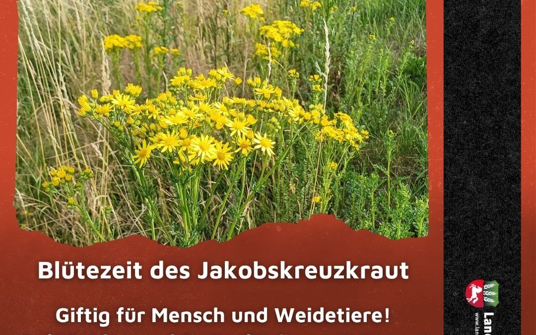 Giftig und hartnäckig – das&hellip;