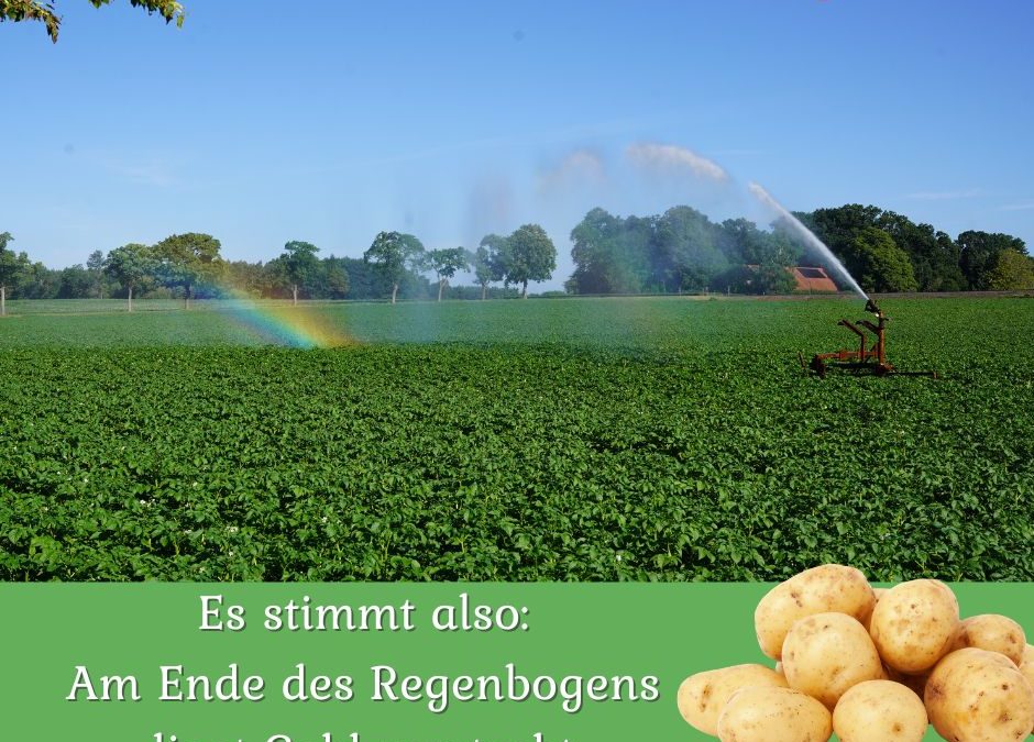 Heimische Kartoffeln – goldwert! 🥔❤️&hellip;