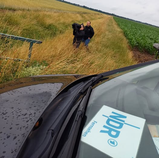 Niederschlag in Zeiten des Klimawandels&hellip;