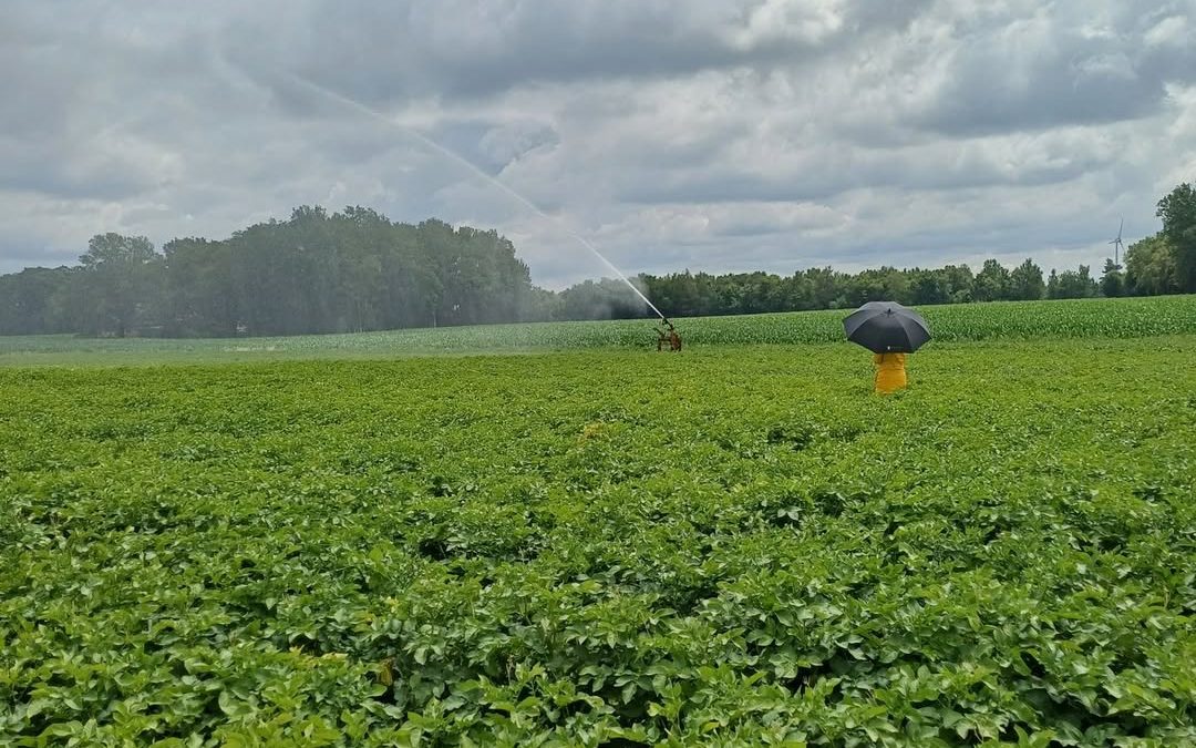 Was ist denn da los&hellip;