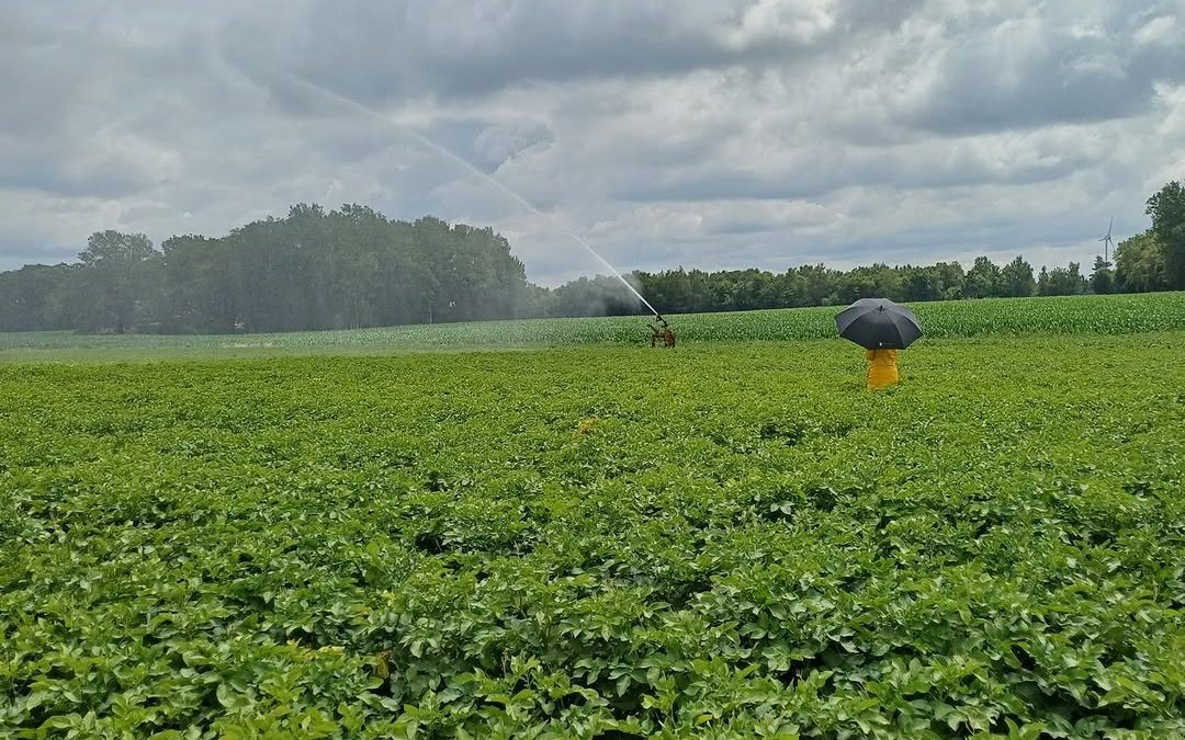 Was ist denn da los auf dem Kartoffelacker? Seid gespannt auf unsere Mini-Serie rund um die Kartoffel 🥔