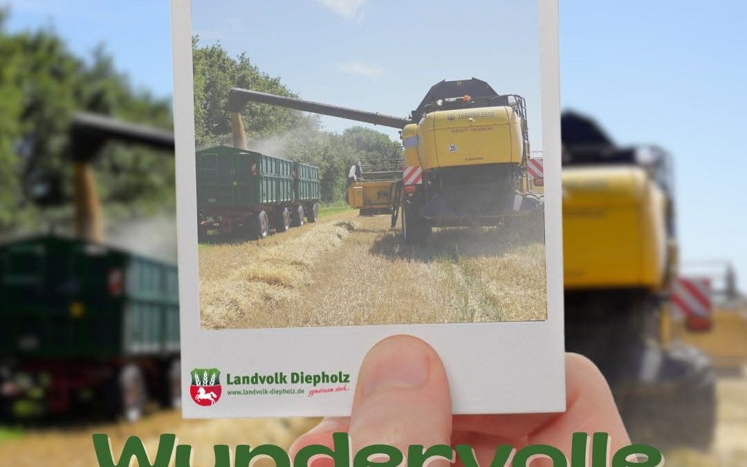 Nach außen hin scheint es wie lange Arbeitszeiten, Lärm und Staub, ordentlich anpacken… aber Landwirte wissen, dass es…