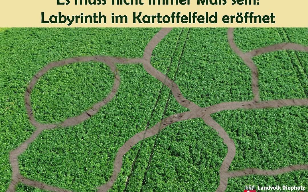 Die Vorteile liegen auf der Hand: Früher eröffnen, mehr Möglichkeiten in der Fruchtfolge… Warum also nicht mal ein Fel…