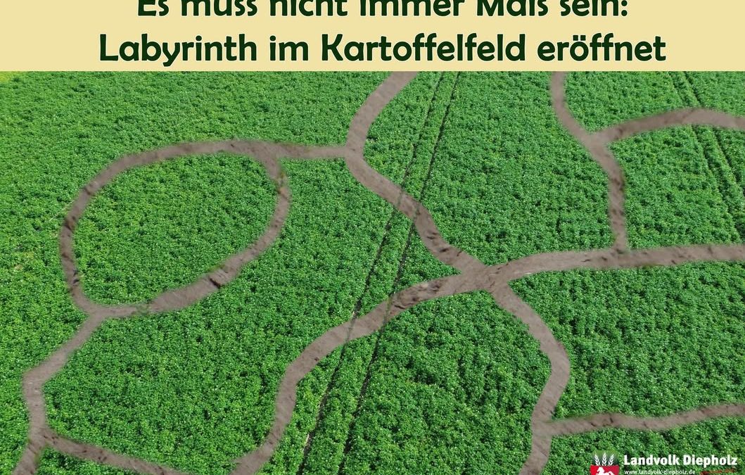 Die Vorteile liegen auf der&hellip;