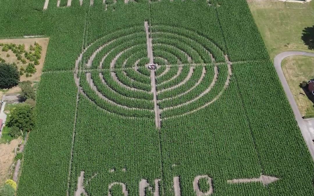 In Drentwede hat sich Landwirt&hellip;