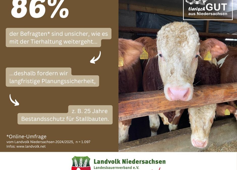 Die Umfrage des Landvolkes Niedersachsen #tierischgut bringt nochmal zur Tage wie wichtig Planungssicherheit für die Nut…