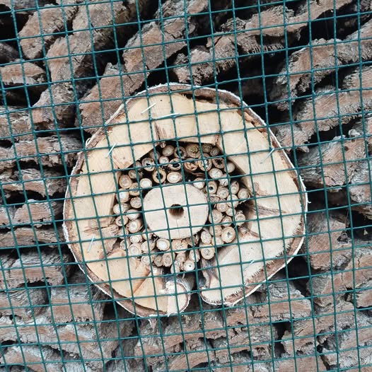 Lebensraum für Insekten – dafür&hellip;