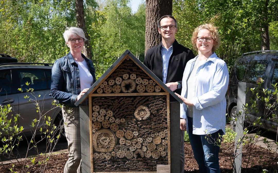 Lebensraum für Insekten – dafür sorgen die heimische Landwirte jeden Tag. 🌻🦋🐝🐛🐞🕷🌸 Auch beim Grünen Zentrum gibt e…