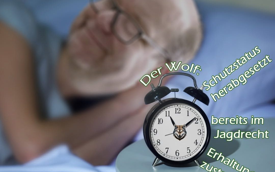 Pssst… 🤫 – Minister Meyer möchte weiter schlafen! 😴 @minister.christian.meyer Unser Landesumweltminister bleibt